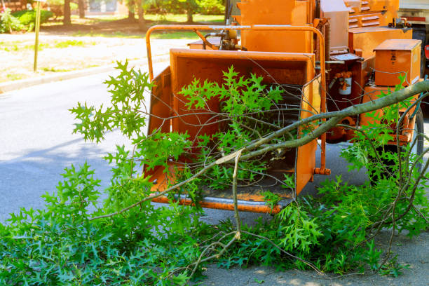 Lawn Watering Services in Fuller Heights, FL